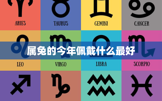 属兔的今年佩戴什么最好(2023年最佳护身符推荐)