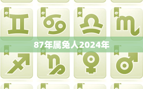 87年属兔人2024年(未来五年你的财运如何)