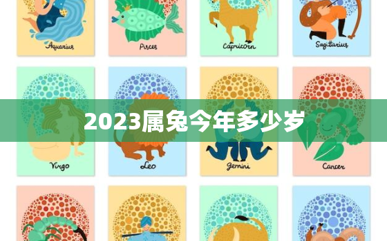 2023属兔今年多少岁(解读属兔人的命运与特点)