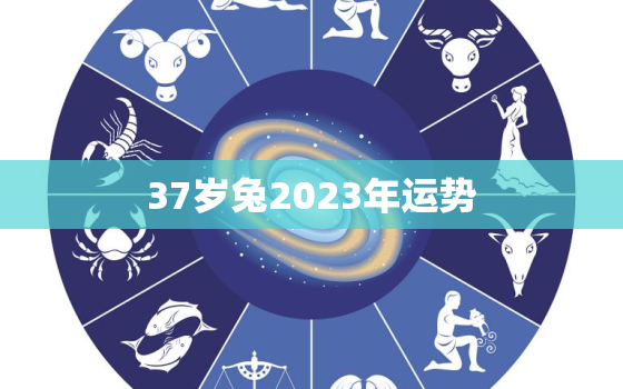 37岁兔2023年运势(兔年好运继续财运亨通事业有成)