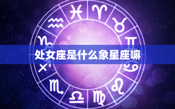 处女座是什么象星座嘛(介绍性格、特点、爱情)