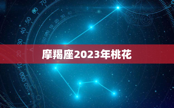 摩羯座2023年桃花(爱情运势大介绍)