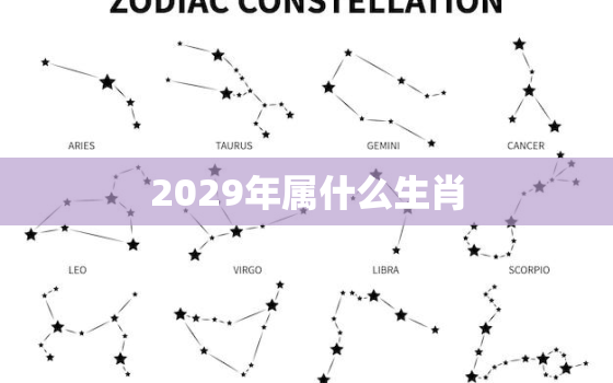 2029年属什么生肖(探寻未来十二生肖的命运)