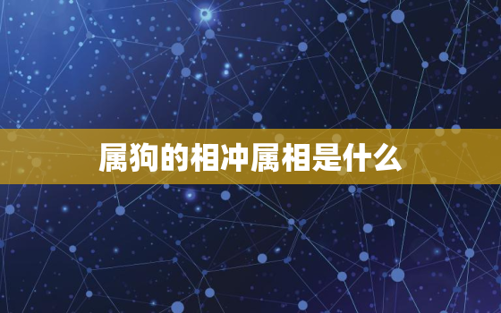 属狗的相冲属相是什么(介绍狗与哪些属相相冲)