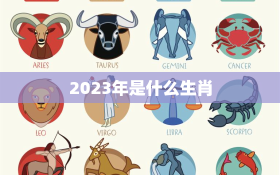 2023年是什么生肖(猫头鹰、狗、猪哪个是你的生肖)