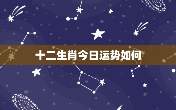 十二生肖今日运势如何(星象大变运势难测)