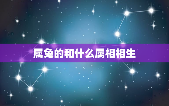 属兔的和什么属相相生(十二生肖相生相克大介绍)