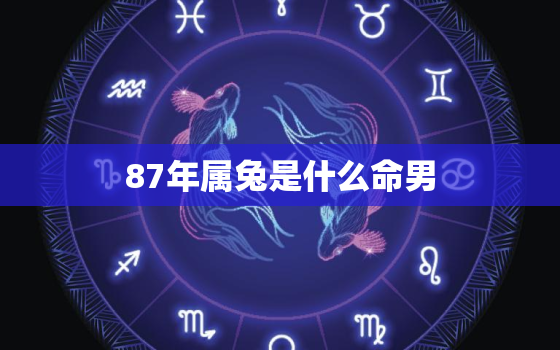 87年属兔是什么命男(命运如何)