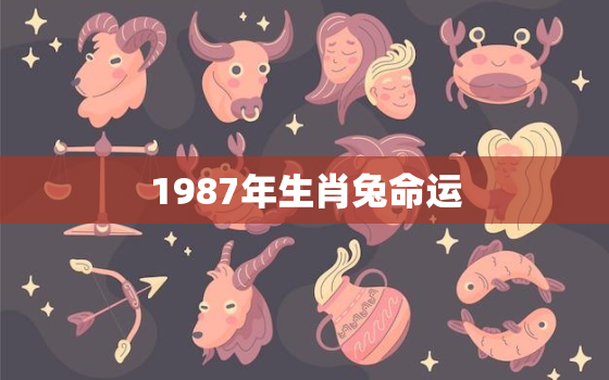 1987年生肖兔命运(如何把握命运转机)