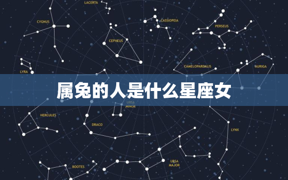 属兔的人是什么星座女(介绍兔子女的性格特点与星座归属)