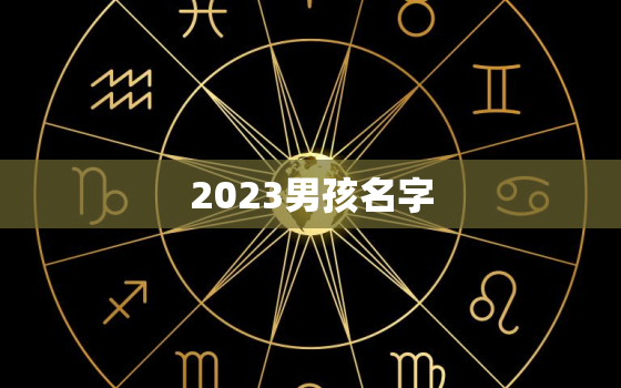 2023男孩名字(独具匠心让你的宝贝与众不同)