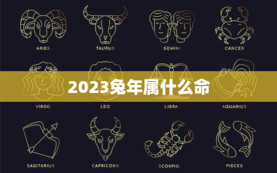 2023兔年属什么命(解读兔年生肖命运)