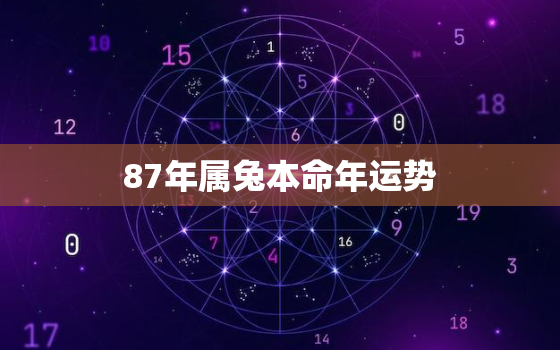 87年属兔本命年运势(兔子们今年运势如何)