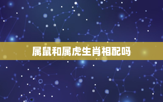 属鼠和属虎生肖相配吗(生肖配对鼠虎组合的性格特点和爱情运势)