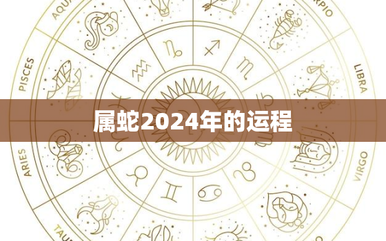 属蛇2024年的运程(顺风顺水财源滚滚)