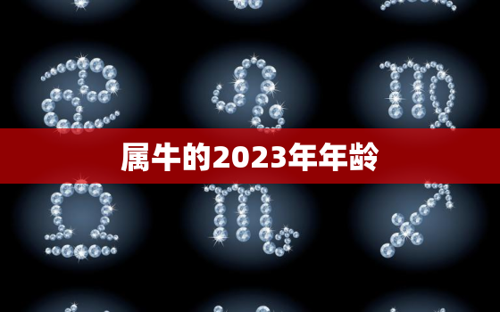 属牛的2023年年龄(牛转乾坤岁月静好)