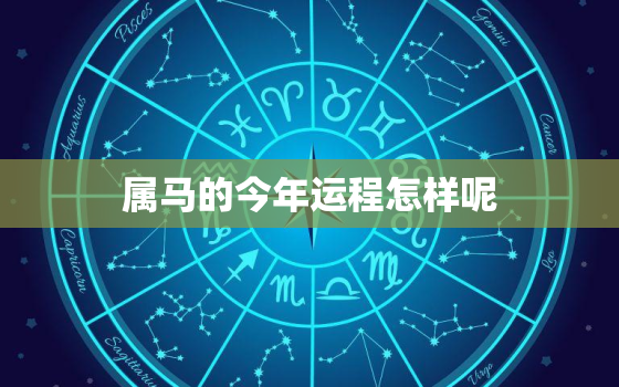 属马的今年运程怎样呢(2023年属马人的运势大介绍)