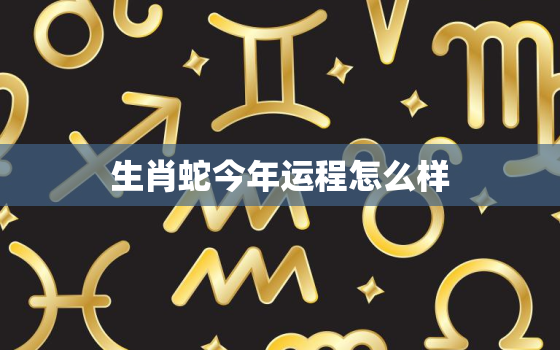 生肖蛇今年运程怎么样(2023年运势大介绍)