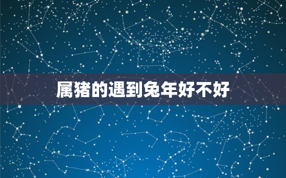 属猪的遇到兔年好不好(如何应对兔年的挑战)