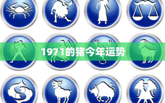 1971的猪今年运势(猪年大吉财运亨通)