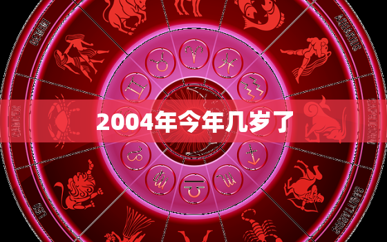 2004年今年几岁了(回顾2004年追寻岁月的足迹)