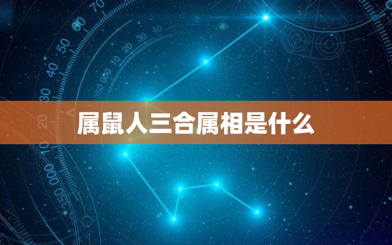 属鼠人三合属相是什么(介绍属相三合的奥秘)