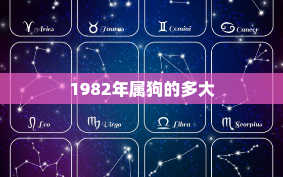 1982年属狗的多大(已经是几岁了)