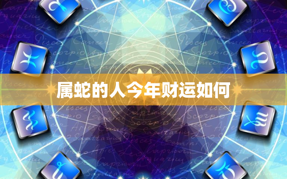 属蛇的人今年财运如何(2023年财运大好财源滚滚来)