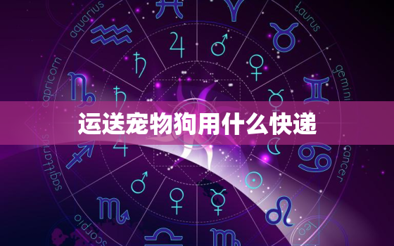 运送宠物狗用什么快递(如何选择最安全的宠物运输服务)