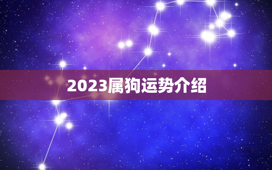 2023属狗运势介绍(狗年大展宏图财运亨通)