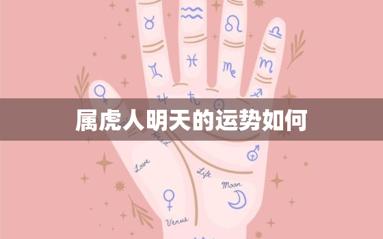 属虎人明天的运势如何(明日运势展望)