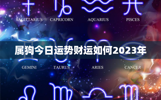 属狗今日运势财运如何2023年，属狗今日运势财运如何2023年