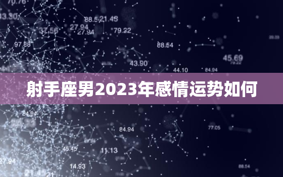 射手座男2023年感情运势如何，射手座男2023年感情运势如何样