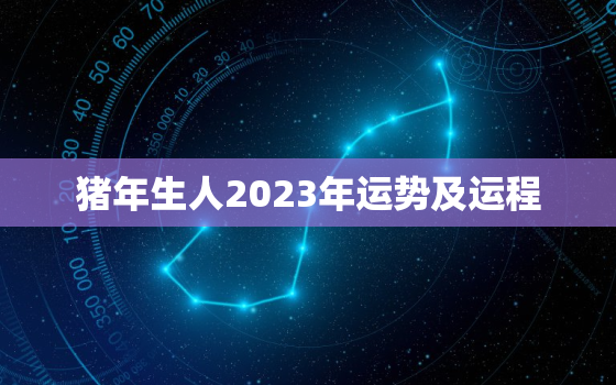 猪年生人2023年运势及运程，1983猪年生人2023年运势及运程