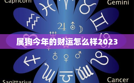 属狗今年的财运怎么样2023，属狗今年的财运怎么样2023年运势