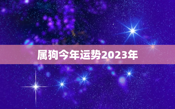 属狗今年运势2023年，属狗人2023全年运势