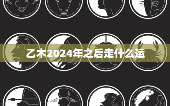 乙木2024年之后走什么运，乙木
正的财库