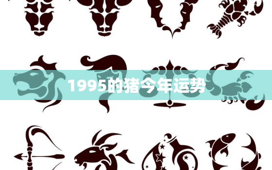 1995的猪今年运势，1995属猪的今年的运势怎么样