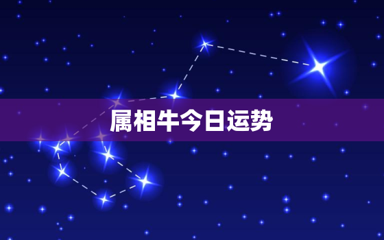 属相牛今日运势，属牛 今日运势