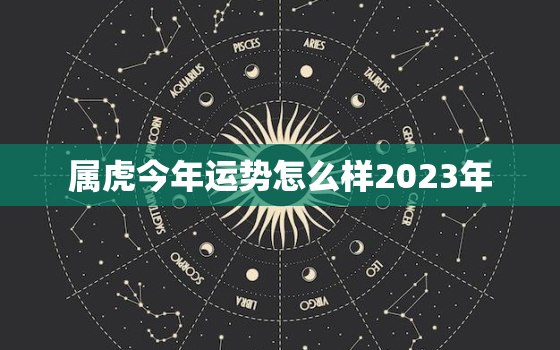 属虎今年运势怎么样2023年，属虎今年运势怎么样2023年结婚