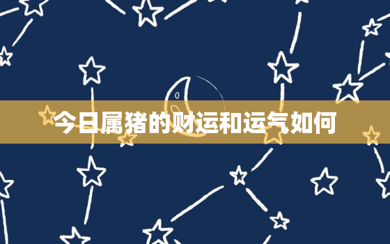 今日属猪的财运和运气如何，今日生肖猪财运