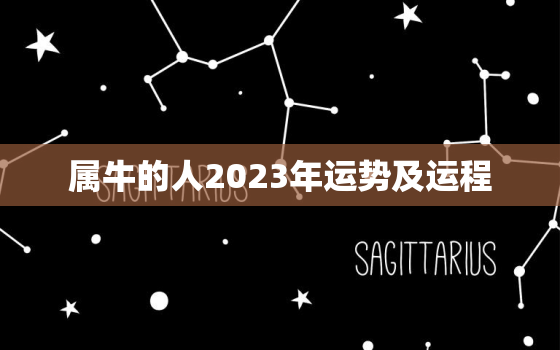 属牛的人2023年运势及运程，属牛的人2023年运势及运程详解女