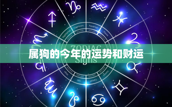 属狗的今年的运势和财运，属狗的今年运势怎么样2021