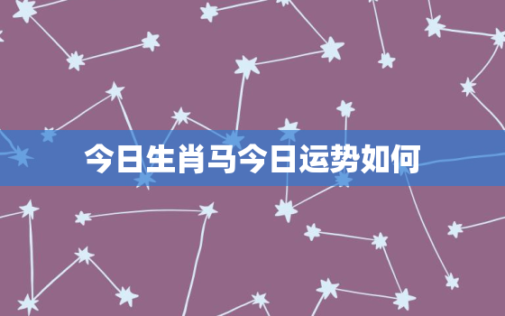 今日生肖马今日运势如何，生肖马今日运势简介