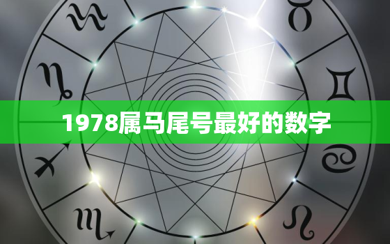 1978属马尾号最好的数字，1978年属马吉祥号码