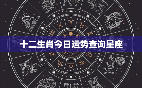 十二生肖今日运势查询星座，今日运势十二生肖