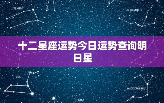 十二星座运势今日运势查询明日星，播放十二星座星座明日运势