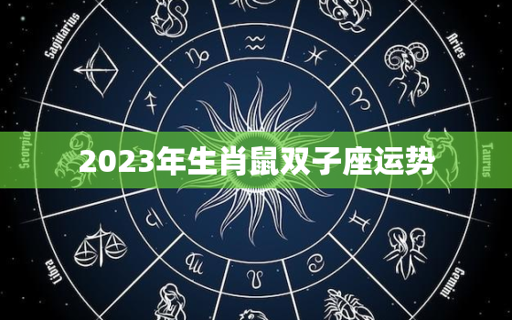 2023年生肖鼠双子座运势，2022年属鼠双子座运势