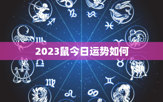 2023鼠今日运势如何，属鼠2o23年运势