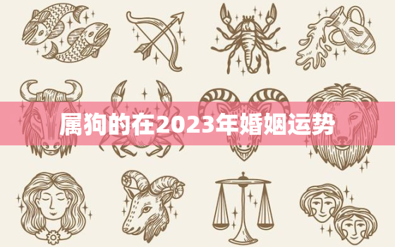 属狗的在2023年婚姻运势，属狗人2023年 感情